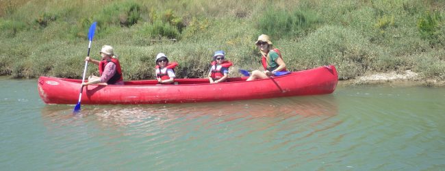 balade-kayak-initiation-oleron-surfari-surf-coach-cours-soleil