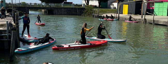 paddle-oleron-surf-surfari-soleil-enfants-adultes-ados-cours-coach