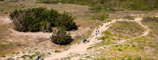 vue-aerienne-drone-chemin-plage-vers-cabane-parking-oleron-ecole-de-surf-plage-soleil-combinaison-formules-cours-adultes-enfants-ados